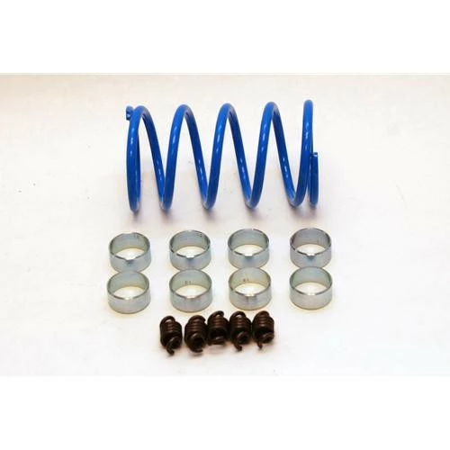 High Lifter Outlaw Clutch Kit - Image 6